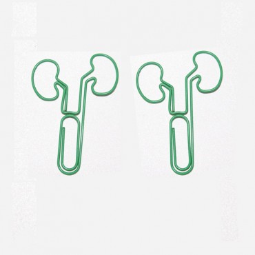 Body Parts Paper Clips | Kidney Shaped Paper Clips | Business Gifts (1 dozen/lot)