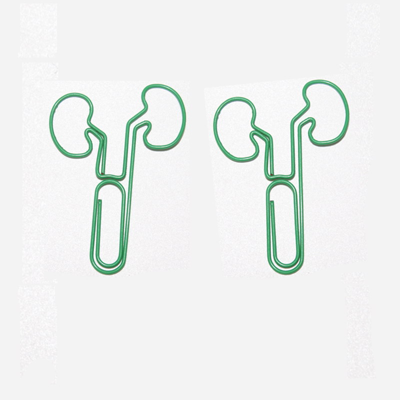 Body Parts Paper Clips | Kidney Shaped Paper Clips | Business Gifts (1 dozen/lot)
