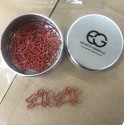 Body Parts Paper Clips | Coroner Paper Clips | Creative Stationery (1 dozen/lot) 