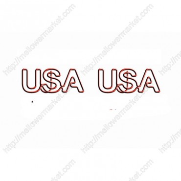 Initials USA Paper Clips | Letters | Creative Stationery (1 dozen/lot)